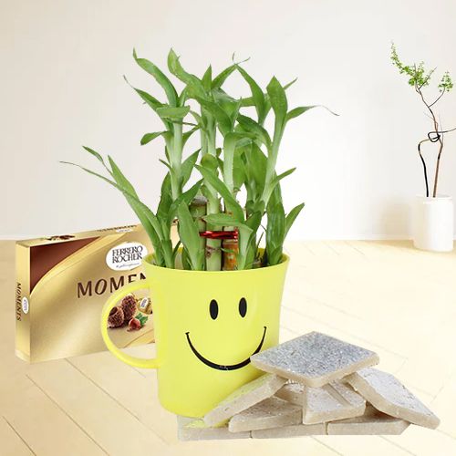 Lovely Smiley Mug Bamboo Plant with Chocolate and Sweets
