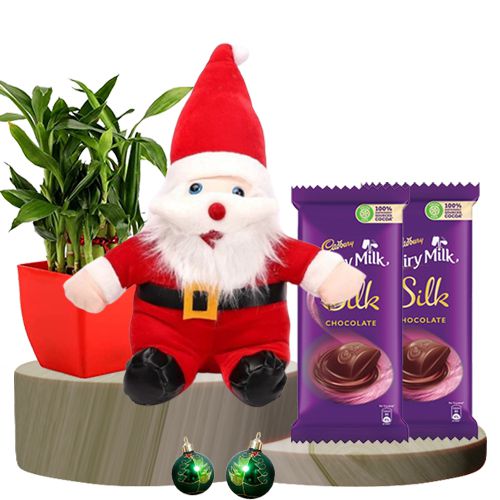 Christmas Bounty Chocolate n Plant Treat