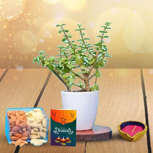 Diwali Diya, Nuts, Jade And Wishes