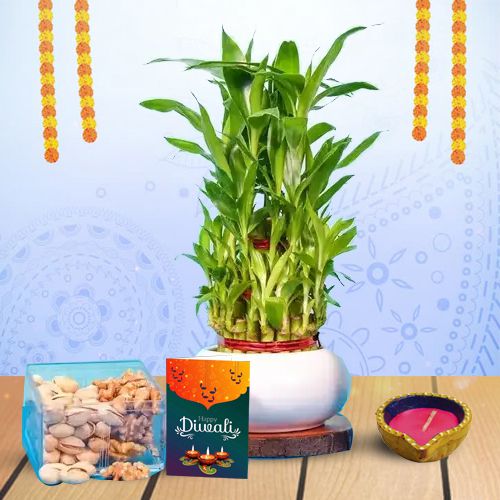 Diwali Plant And Snacks