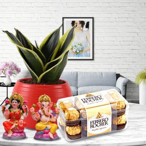 Milt Sansevieria Plant Ferrero Rocher N Ganesh Laxmi Idol