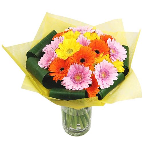 Blooming Tissue Wrapped Assorted Gerberas in Round Glass Vase
