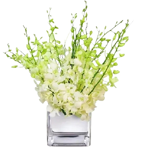 Graceful White Orchids Glass Vase Arrangement