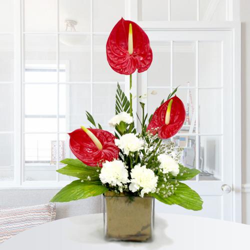 Remarkable Arrangement of Anthuriums n Carnations in Glass Vase