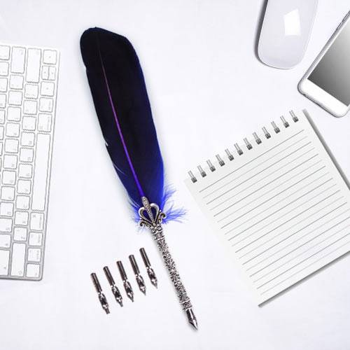 Marvelous Calligraphy Quill Set