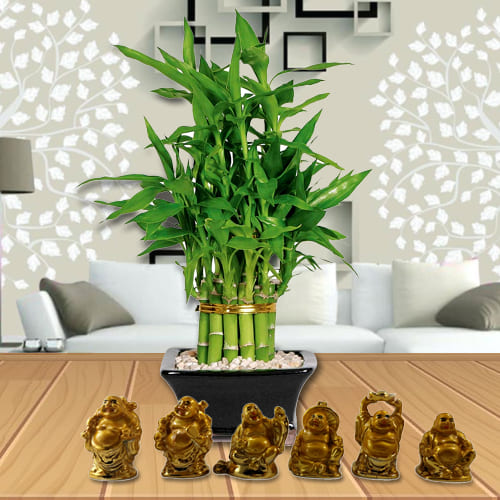 Exquisite 2 Tier Bamboo Plant with Set of Laughing Buddha