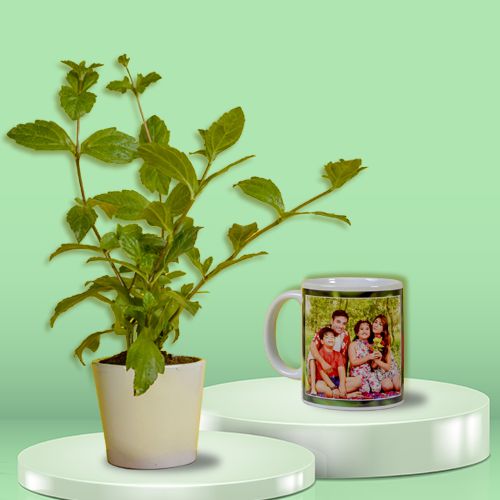 Amazing Duo of Vringraj Plant with Personalize Coffee Mug